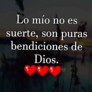 Meet your Posher, Carrillo